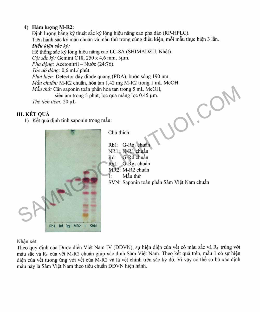 Phan-biet-sam-ngoc-linh-that-gia-4