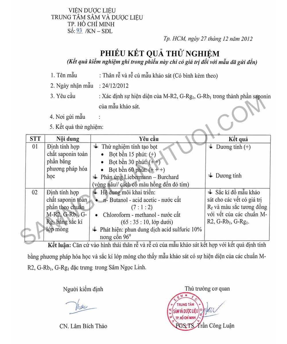 Phan-biet-sam-ngoc-linh-that-gia-9